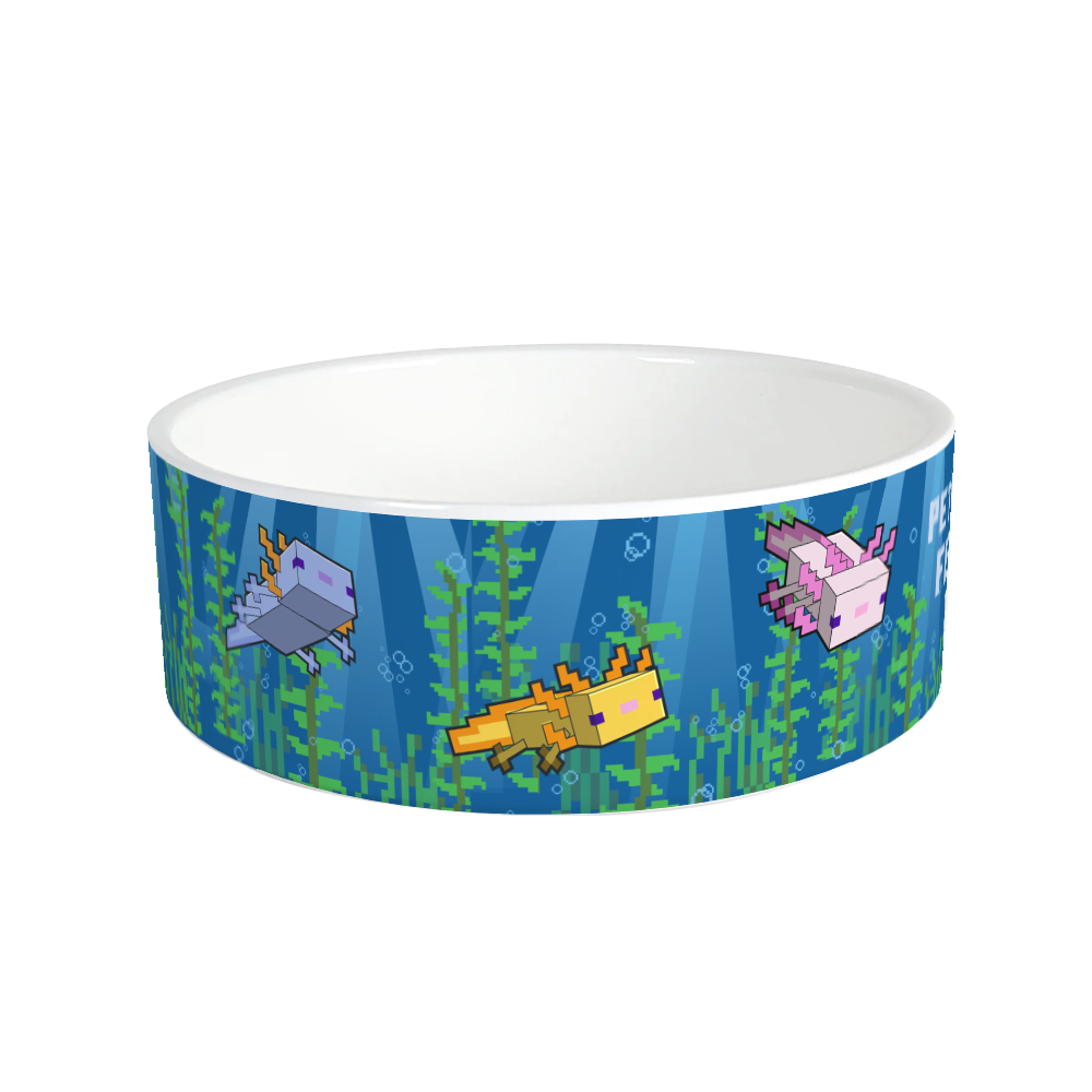 Minecraft Axolotl Feeding Time Personalized Pet Bowl - Image 4