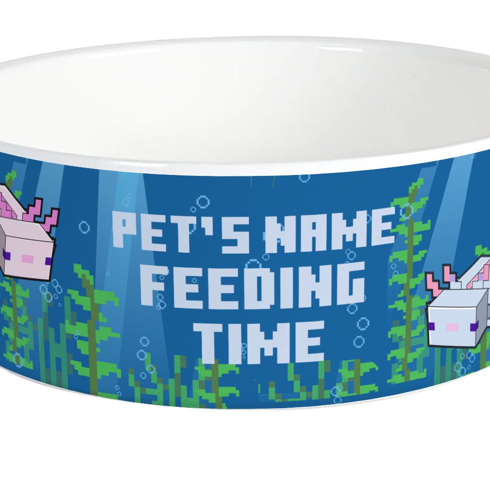 Alternative view of Minecraft Axolotl Feeding Time Personalized Pet Bowl